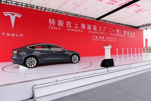 特斯拉上海工廠(chǎng)投產(chǎn)在即 中國(guó)電動(dòng)汽車(chē)產(chǎn)業(yè)迎來(lái)新變量